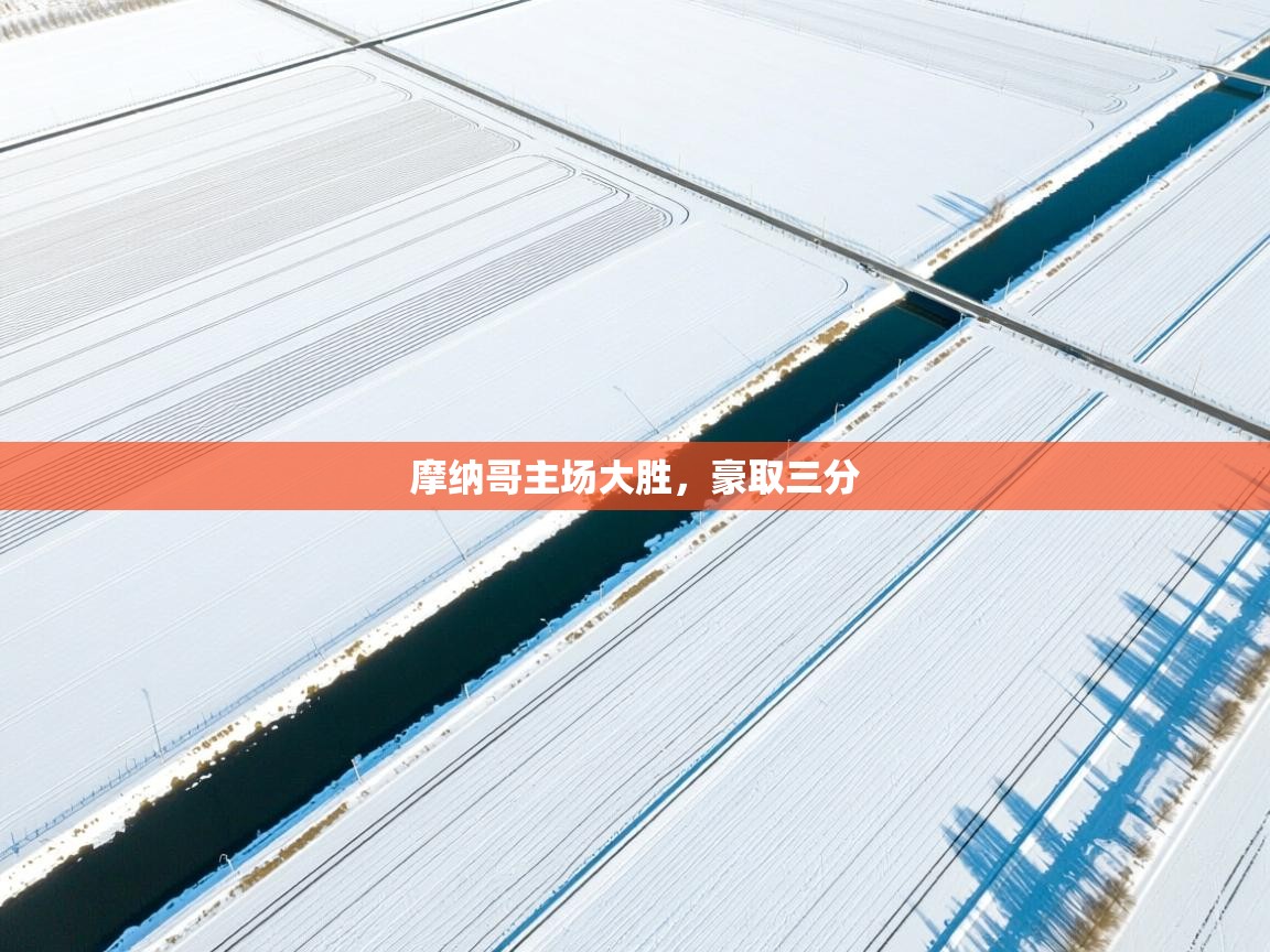 摩纳哥主场大胜，豪取三分